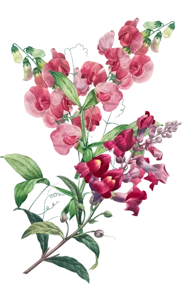 Flower Spray